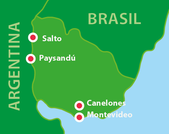 BrazyliaOsobno PL